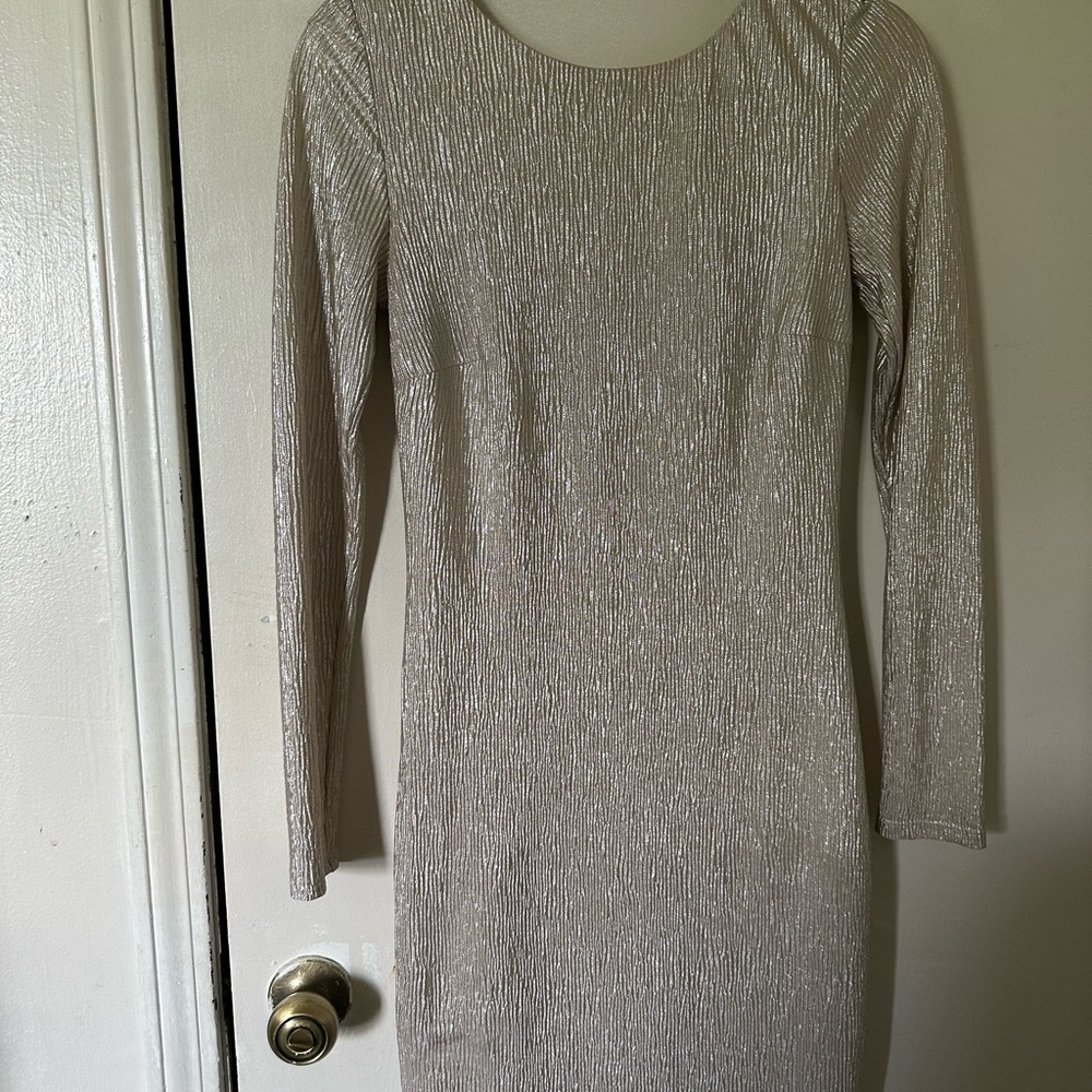 Elegant Silver Long Sleeve Dress